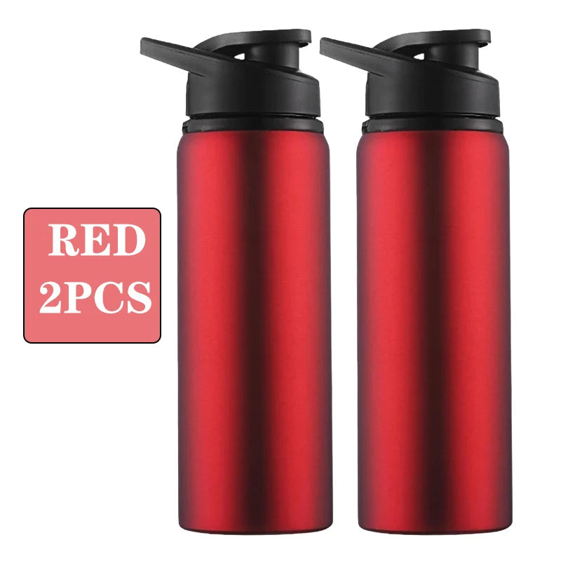 Portable Stainless Steel Water Bottle