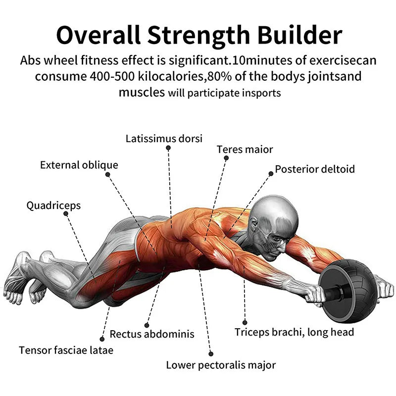 Single-Wheel Silent Ab Roller – Home Workout Core Trainer
